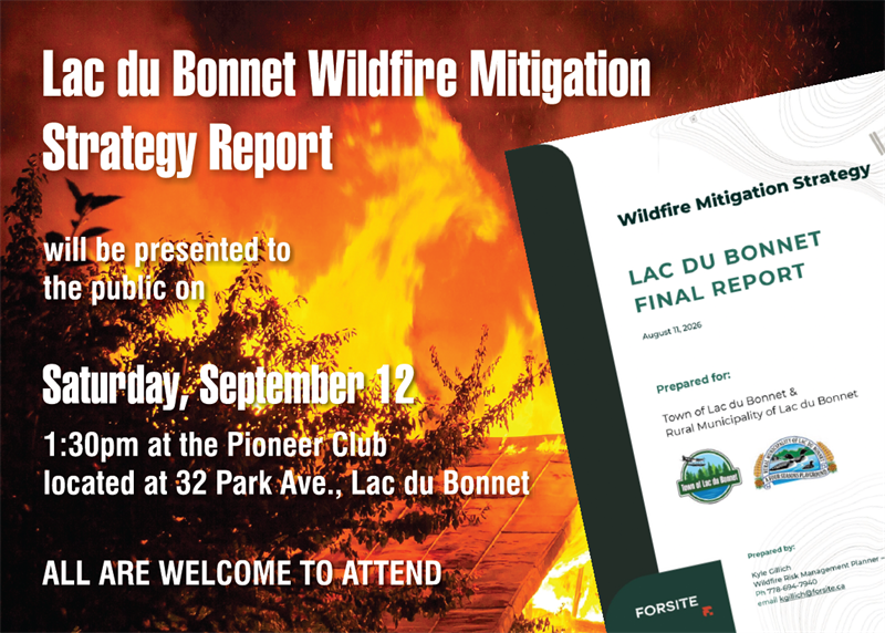 Wildfire Mitigation Strategy