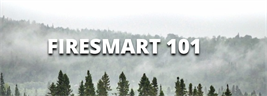 FireSmart101